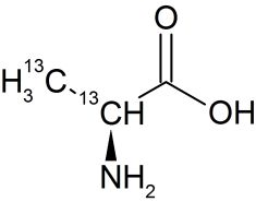 CC55P05