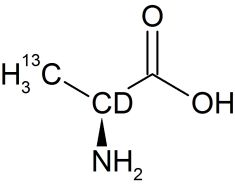 CCD45P1