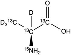 CCDN55P