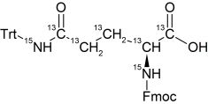 CCN1001P01