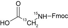 CCN1081P01