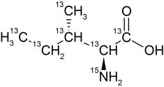 CCN1300P01