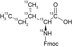 CCN1301P01