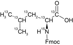 CCN1601P01