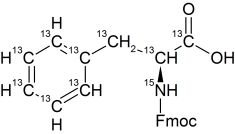 CCN2201P01