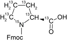 CCN2501P01