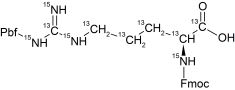 CCN251P01