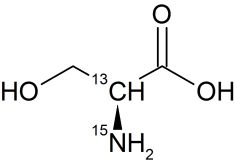 CCN3010P