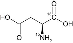 CCN350P