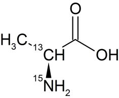 CCN35P1