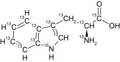 CCN4000P01