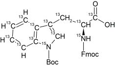 CCN4001P01