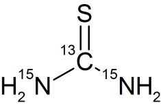 CCN4501P