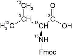 CCN5010P01