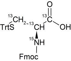 CCN502P01