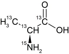 CCN55P01