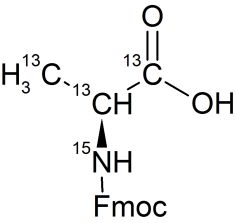 CCN56P01