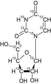 CCN6235P