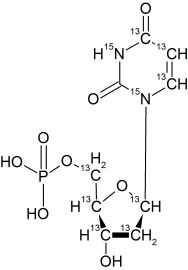 CCN6255P0025