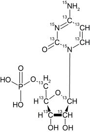 CCN6265P01