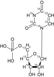 CCN6275P01