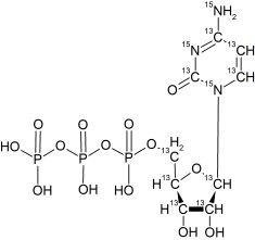 CCN6305P001