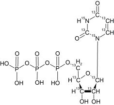 CCN6315P001