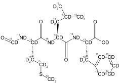 CCND10073P10