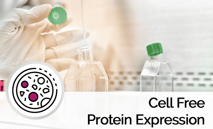 Cell-Free Kit